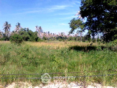 ที่ดิน ประจวบคีรีขันธ์ : ที่ดินสำหรับปล่อยขาย 40,400 ตารางเมตร แถว ใน ห้วยยั้ง (ID 2006239)