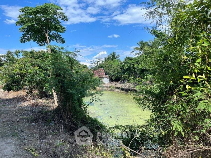 รูป ที่ดินสำหรับปล่อยขาย 21,308 ตารางเมตร แถว ใน หารแก้ว (ID 1372746) - รูปที่ 10/14