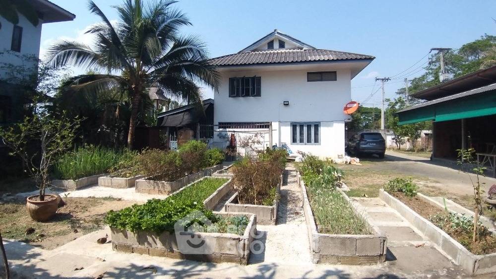 picture 2-BR House in Pa Daet (ID 1302279) - 13/15