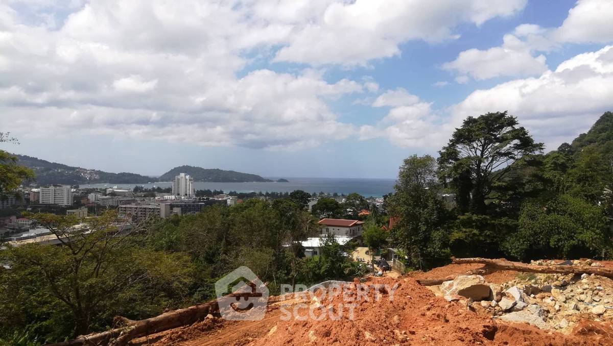 รูป ที่ดินสำหรับปล่อยขาย 30,448 ตารางเมตร แถว ใน ป่าตอง (ID 2149582) - รูปที่ 2/19