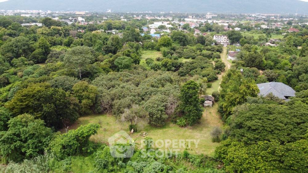 รูป ที่ดินสำหรับปล่อยขาย 23,848 ตารางเมตร แถว ใน ป่าตาล (ID 1568294) - รูปที่ 1/7