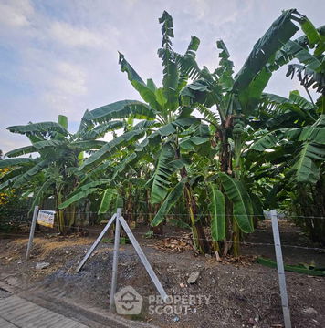 800 m² Land for Sale in Thung Song Hong (ID 2146222)
