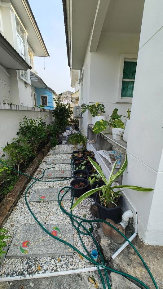 รูป บ้าน 3-ห้องนอน ใน บ้านคลองสวน (ID 1466954) - รูปที่ 5/14