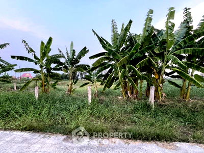 ที่ดิน บางเสาธง สมุทรปราการ : ที่ดินสำหรับปล่อยขาย 2,400 ตารางเมตร แถว ใน บางเสาธง (ID 2055907)