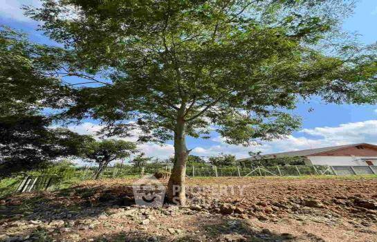 รูป ที่ดินสำหรับปล่อยขาย 856 ตารางเมตร แถว ใน ต้นเปา (ID 1969626) - รูปที่ 5/6