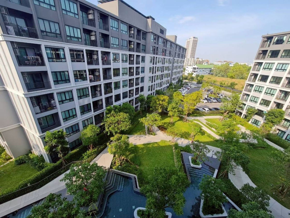 picture For Rent ðĐDcondo Campus hideaway rangsit Room type : 1 bed / 33.50 sq.m. rental 11,500 bath - 8/11