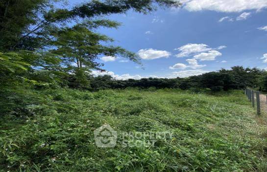 รูป ที่ดินสำหรับปล่อยขาย 19,200 ตารางเมตร แถว ใน กื้ดช้าง (ID 1971300) - รูปที่ 3/5