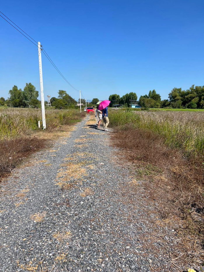 picture Ban Na Ban Phrik Subdistrict Ban Na Nakhon District 2-200 sq m450,000 baht7 km from the 4-lane road Wihan Daeng water and electricity included,  - 8/19