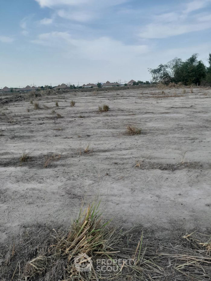 รูป ที่ดินสำหรับปล่อยขาย 3,200 ตารางเมตร แถว ใน หนองแก (ID 2064690) - รูปที่ 7/7