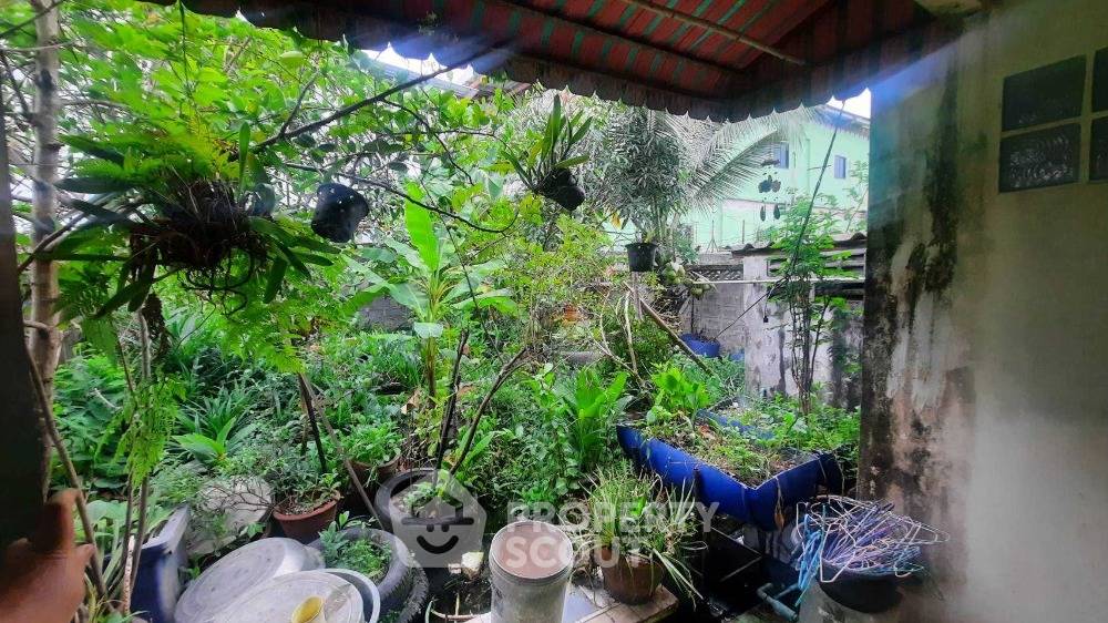 รูป บ้าน 4-ห้องนอน ใน แพรกษาใหม่ (ID 1942193) - รูปที่ 6/12