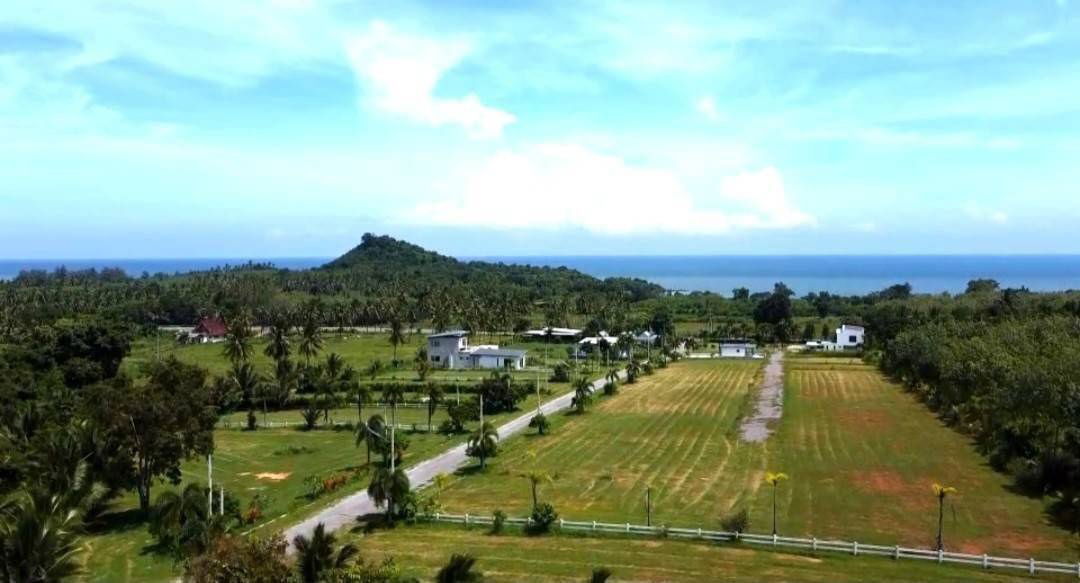 picture  Ang Thong, Thap Sakae District, Prachuap Khiri Khan Province, 91-114-141 sq m, 16,900per sq m, 10% contract, 20,000-30,000 baht per month, 18 months,  - 9/23