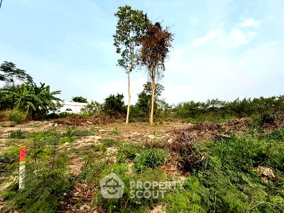 ที่ดิน ถนนจอมเทียนสาย 2 : ที่ดินสำหรับปล่อยขาย 420 ตารางเมตร แถว ใกล้ เมืองพัทยา (ID 2055056)