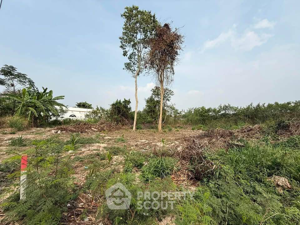 รูป ที่ดินสำหรับปล่อยขาย 420 ตารางเมตร แถว ใกล้ เมืองพัทยา (ID 2055056) - รูปที่ 1/5