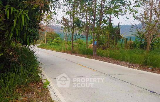 รูป ที่ดินสำหรับปล่อยขาย 38,400 ตารางเมตร แถว ใน แม่นาวาง (ID 1971302) - รูปที่ 3/4