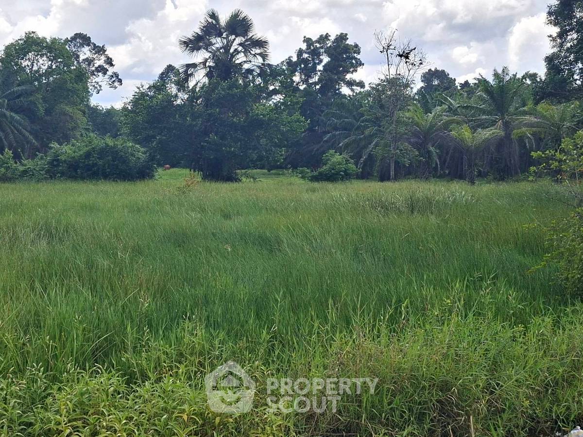 รูป ที่ดินสำหรับปล่อยขาย 7,520 ตารางเมตร แถว ใน พุนพิน (ID 2097972) - รูปที่ 2/5