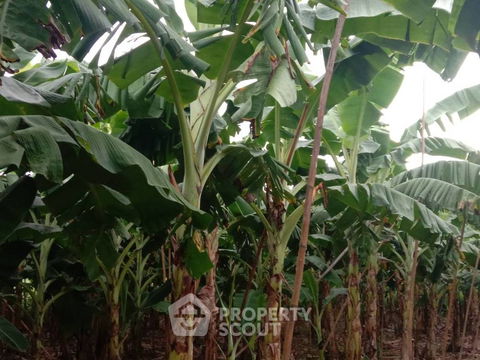 ที่ดินสำหรับปล่อยขาย 10,556 ตารางเมตร แถว ใกล้ โครงการชั่งหัวมัน ตามพระราชดำริ (ID 1439686)