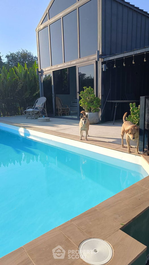 รูป บ้าน 2-ห้องนอน ใน ปราณบุรี (ID 1951968) - รูปที่ 6/23