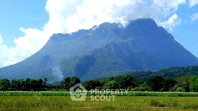 ที่ดิน เชียงดาว เชียงใหม่ : ที่ดินสำหรับปล่อยขาย 1,280 ตารางเมตร แถว ใน เชียงดาว (ID 1540118)