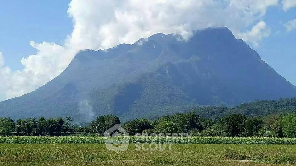 รูป ที่ดินสำหรับปล่อยขาย 1,280 ตารางเมตร แถว ใน เชียงดาว (ID 1540118) - รูปที่ 1/14