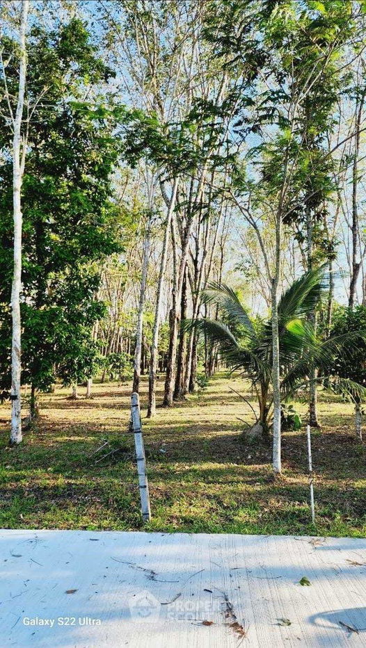 รูป ที่ดินสำหรับปล่อยขาย 1,636 ตารางเมตร แถว ใน ศรีสุนทร (ID 1443945) - รูปที่ 1/6