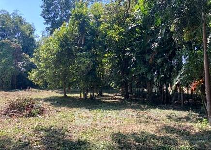 รูป ที่ดินสำหรับปล่อยขาย 29,780 ตารางเมตร แถว ใน อินทขิล (ID 1972455) - รูปที่ 3/8