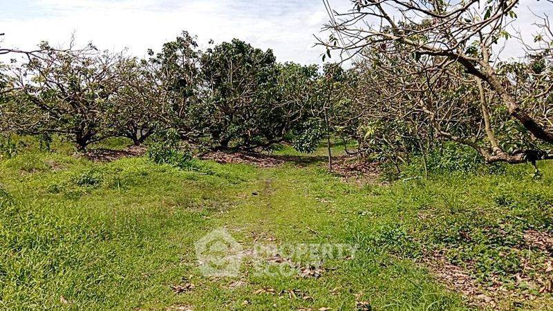 รูป ที่ดินสำหรับปล่อยขาย 5,004 ตารางเมตร แถว ใน หนองตอง (ID 1442049) - รูปที่ 1/4