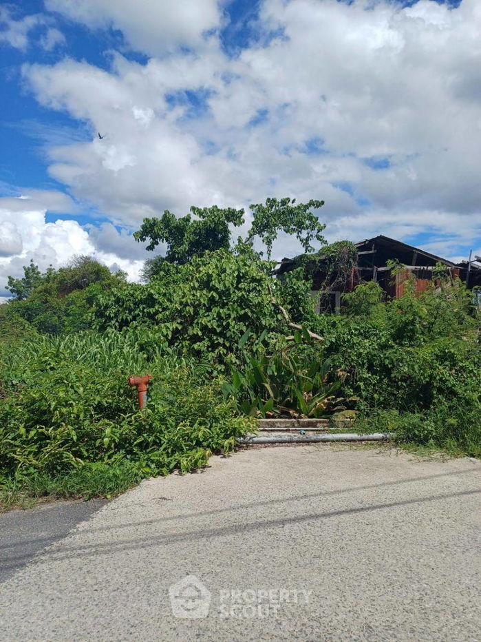 รูป บ้าน 2-ห้องนอน ใน สันกำแพง (ID 1338321) - รูปที่ 10/11