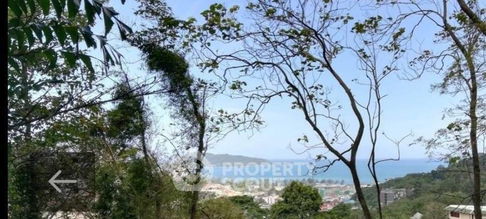 ที่ดินสำหรับปล่อยขาย 1,084 ตารางเมตร แถว ใน ป่าตอง (ID 1406543)