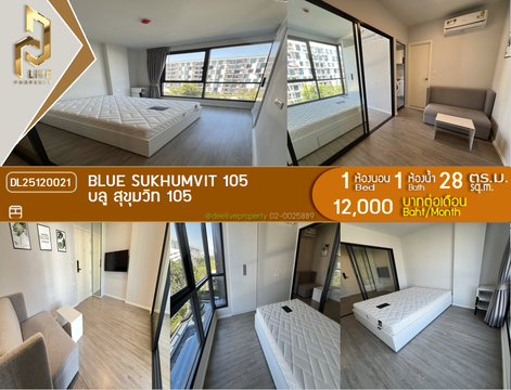 DL25120021 Condo for rent, Blue Sukhumvit 105 near -, ready to move in, call urgently 0638692663 LineID @534wlwof