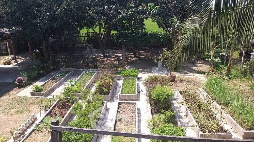 picture 2-BR House in Pa Daet (ID 1302279) - 11/15