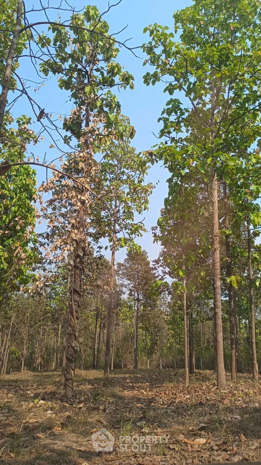 รูป ที่ดินสำหรับปล่อยขาย 15,564 ตารางเมตร แถว ใน สบเปิง (ID 1540115) - รูปที่ 3/9