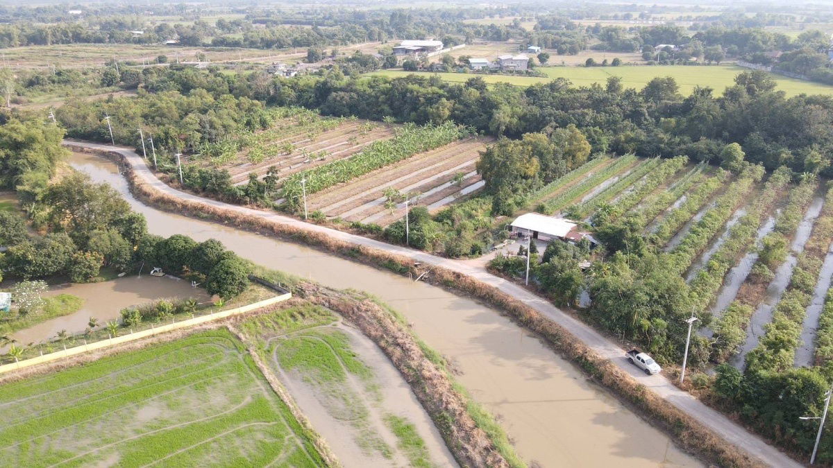 รูป ที่ดินบ้านสวนหนองจรเข้อ.หนองแคสระบุรี2ไร่มี9ล็อกไร่ละ780000ใกล้หนองตะเฆ่400มอ.หนองแค3กมอ.เมืองสระบุรี22กมถนนคอนกรีตน้ำไฟ3เฟสผ่อน2ปี - รูปที่ 13/19