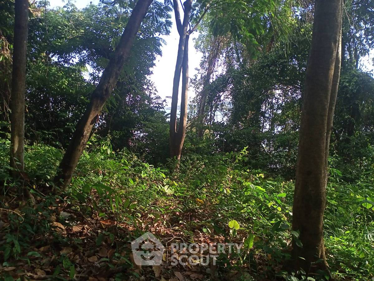 รูป ที่ดินสำหรับปล่อยขาย 3,828 ตารางเมตร แถว ใกล้ เกาะสิเหร่ (ID 1080005) - รูปที่ 9/10