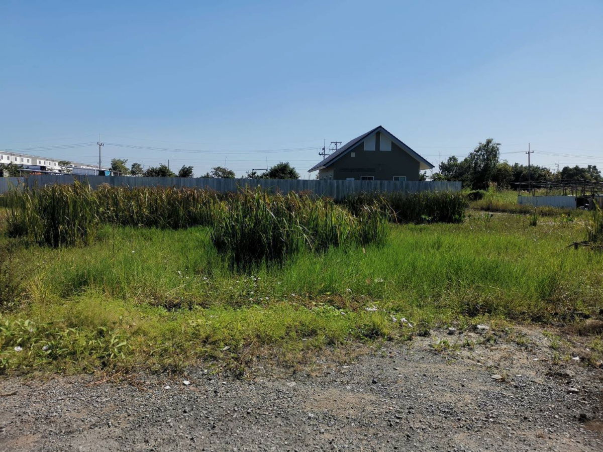 รูป ที่ดินคลอว6คลองหลวงปทุมธานีซ.คึกคฤทธิ์ใกล้แยกหนองเสือ1ไร่3800000ย่านรังสิตธัญบุรีสะดวกติดถนนลำลูกกาวังน้อยใกล้ดูโฮมค6บิ๊กซีค6ทำกิจการเก็งกำไร - รูปที่ 6/18