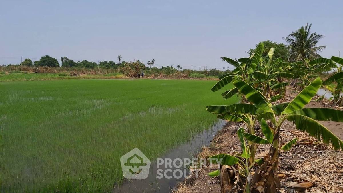 รูป ที่ดินสำหรับปล่อยขาย 5,200 ตารางเมตร แถว ใน ลำปลาทิว (ID 1399538) - รูปที่ 4/5