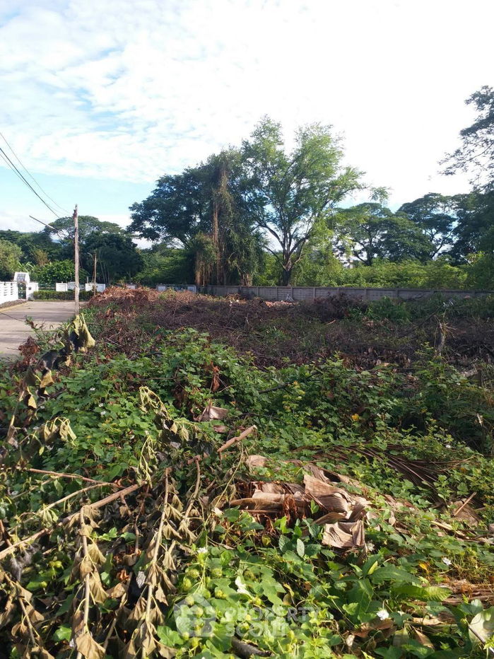 รูป ที่ดินสำหรับปล่อยขาย 1,957.2 ตารางเมตร แถว ใกล้ สนามบินเชียงใหม่ (ID 1300591) - รูปที่ 3/7