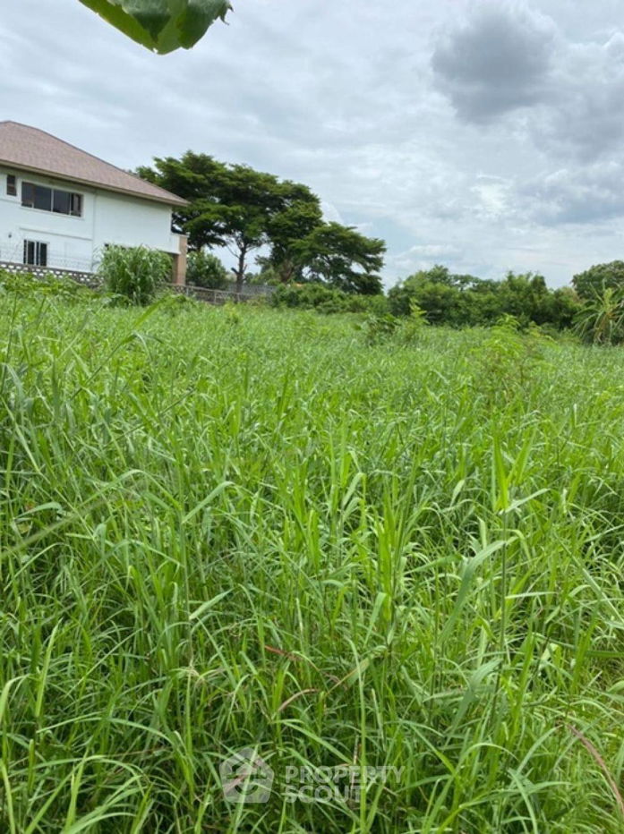 รูป ที่ดินสำหรับปล่อยขาย 9,184 ตารางเมตร แถว ใน โสนลอย (ID 1500162) - รูปที่ 3/4