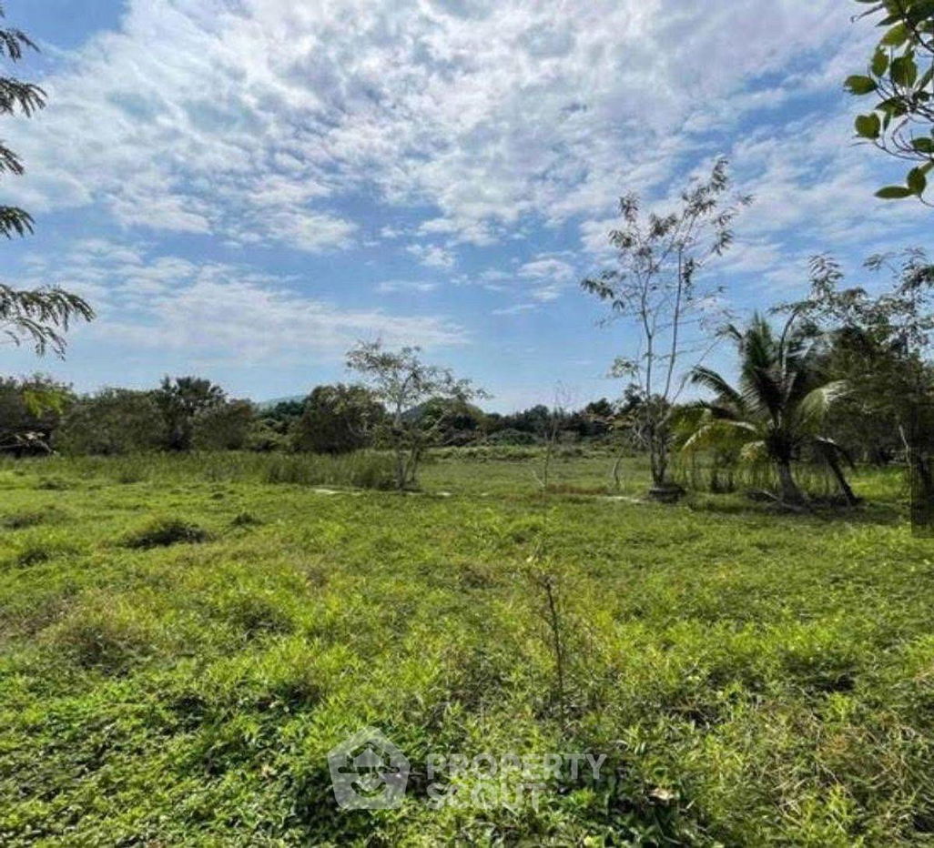 รูป ที่ดินสำหรับปล่อยขาย 5,618 ตารางเมตร แถว ใน ลิปะน้อย (ID 2084246) - รูปที่ 2/7