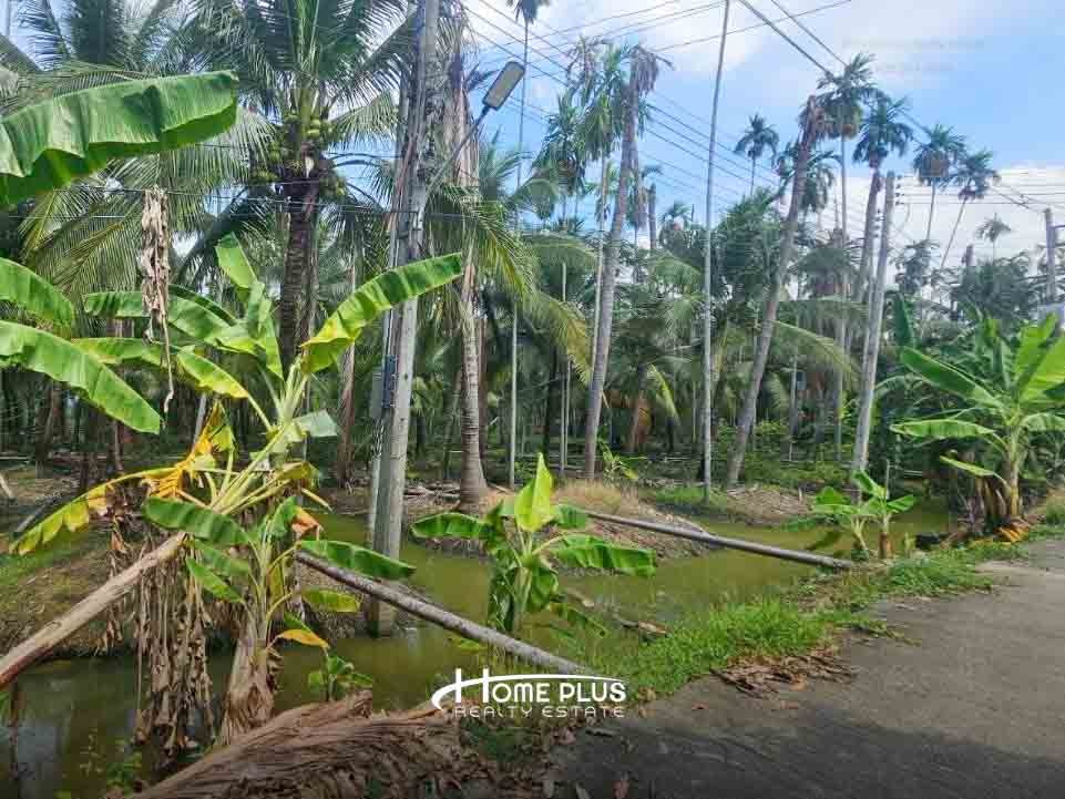 รูป ที่ดินตำบลท่าตลาด อำเภอสามพราน นครปฐม เนื้อที่ 846 ตารางวา - รูปที่ 1/11