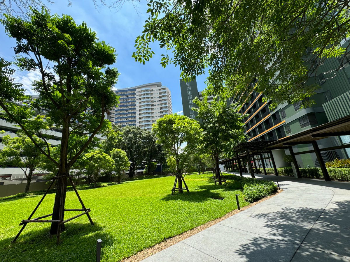 รูป 🐲แอดไลน์ได้เลยครับ🐲✨✨🛋️🛌เดอะ ไลน์ ไวบ์ พหลโยธิน - รูปที่ 5/9