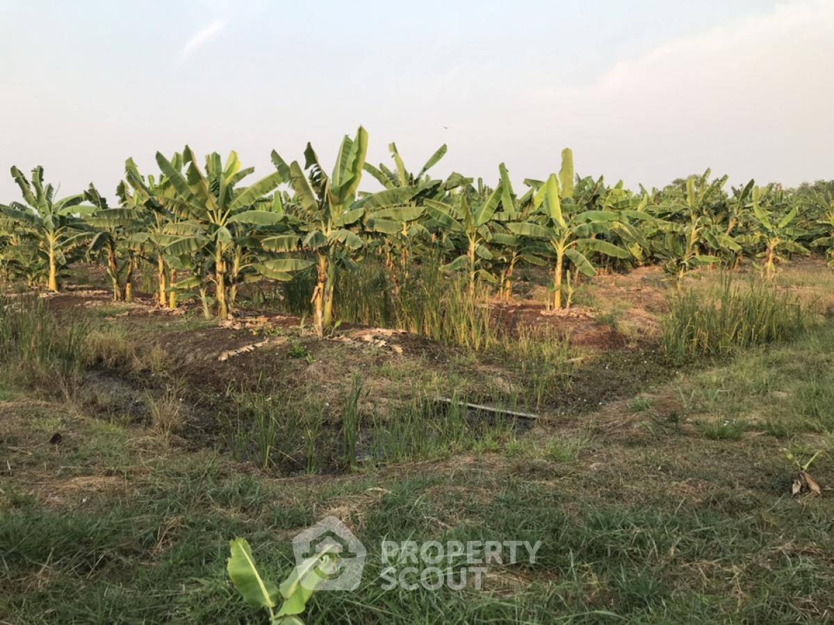 รูป ที่ดินสำหรับปล่อยขาย 20,076 ตารางเมตร แถว ใน บ้านใหม่ (ID 2021330) - รูปที่ 2/4