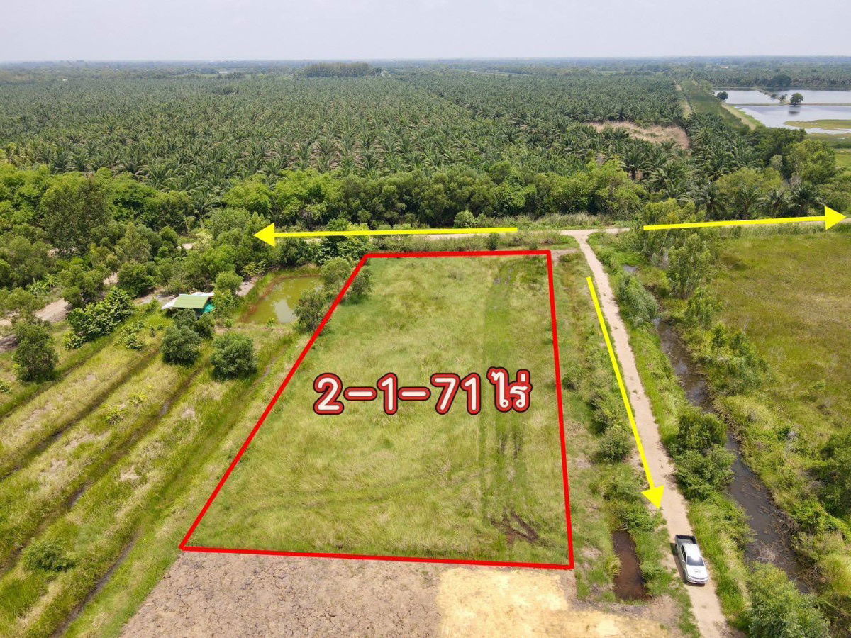 รูป ที่ดินทำเลดีค.13หนองหมูวิหารแดงสระบุรี2-1-71ยกแปลง1790000ใกล้ถนนพหลโยธิน8กมปั้มPT1กมอ.หนองแค8กมรพ.วิหารแดง12กมเข้าออก2ทางฟรีทุกค่าใช้จ่ายจอง30000 - รูปที่ 22/23