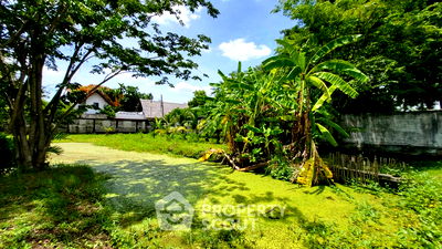 ที่ดิน MRT หลักสอง : ที่ดินสำหรับปล่อยขาย 1,664 ตารางเมตร แถว ใน บางแคเหนือ (ID 1337111)