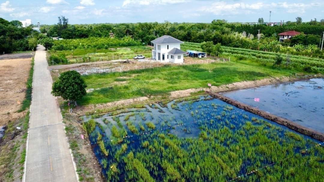 รูป ที่ดินติดถนน2ด้านค10หนองเสือปทุมธานี1ไร่2700000คอนกรีต8มถนนรังสิตนครนายกคาเฟ่แกะบัว650รพ.หนองเสือ300มอำเภอ1.1กมโฉนดพร้อมโอน - รูปที่ 2/19