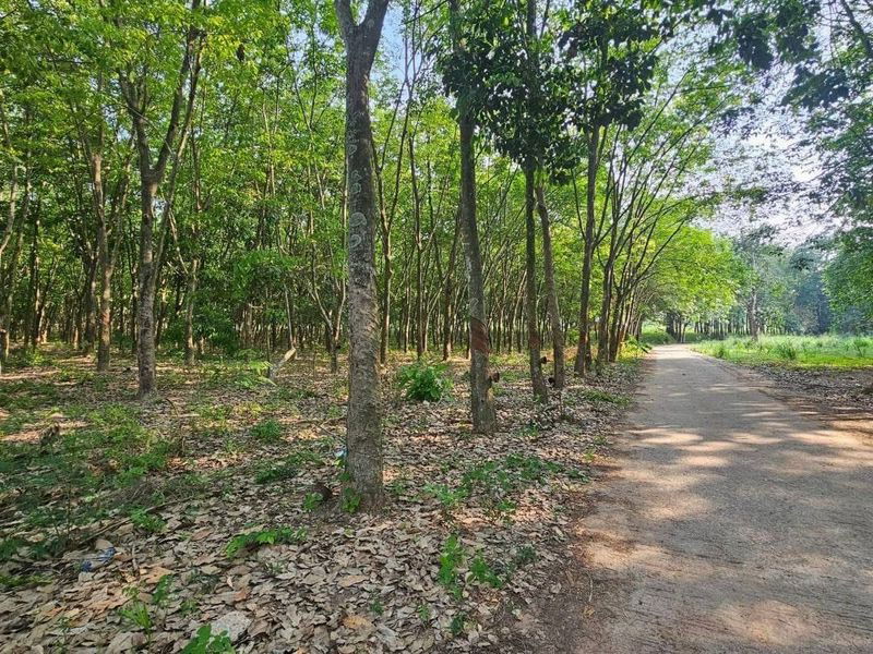 picture Land for sale for factory construction, beautiful plot, Khao Khan Song District, Sriracha, Chonburi - 5/9