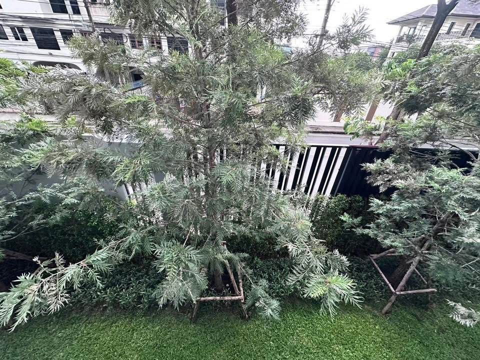 รูป 🟪🟦🟩🟨🟧 ให้เช่า MAROON Ratchada 32   🛎️🛎️ | 𝗟𝗶𝗻𝗲@: @𝗮𝘀𝘀𝗲𝘁𝘀𝗽𝗿𝗼 - รูปที่ 12/12