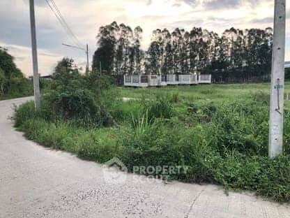 รูป ที่ดินสำหรับปล่อยขาย 57,672 ตารางเมตร แถว ใน หนองตำลึง (ID 1062271) - รูปที่ 6/6