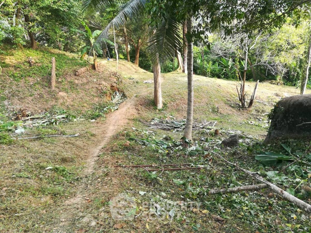 รูป ที่ดินสำหรับปล่อยขาย 30,448 ตารางเมตร แถว ใน ป่าตอง (ID 2149582) - รูปที่ 17/19