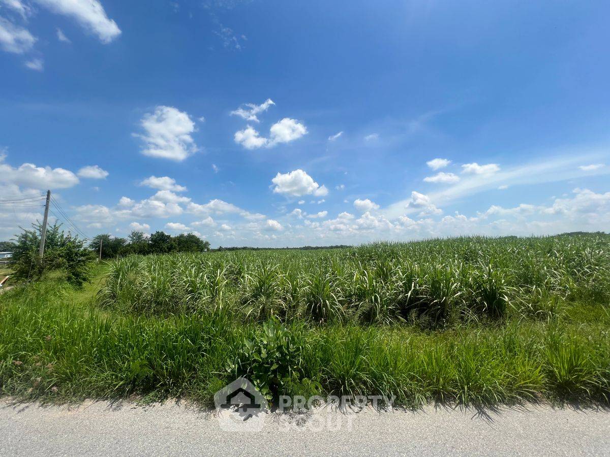 รูป ที่ดินสำหรับปล่อยขาย 42,535 ตารางเมตร แถว ใน หนองชาก (ID 2092531) - รูปที่ 10/13