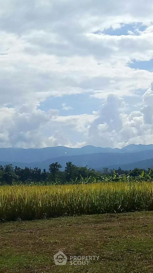 รูป ที่ดินสำหรับปล่อยขาย 8,048 ตารางเมตร แถว ใน สบเปิง (ID 1540121) - รูปที่ 6/8